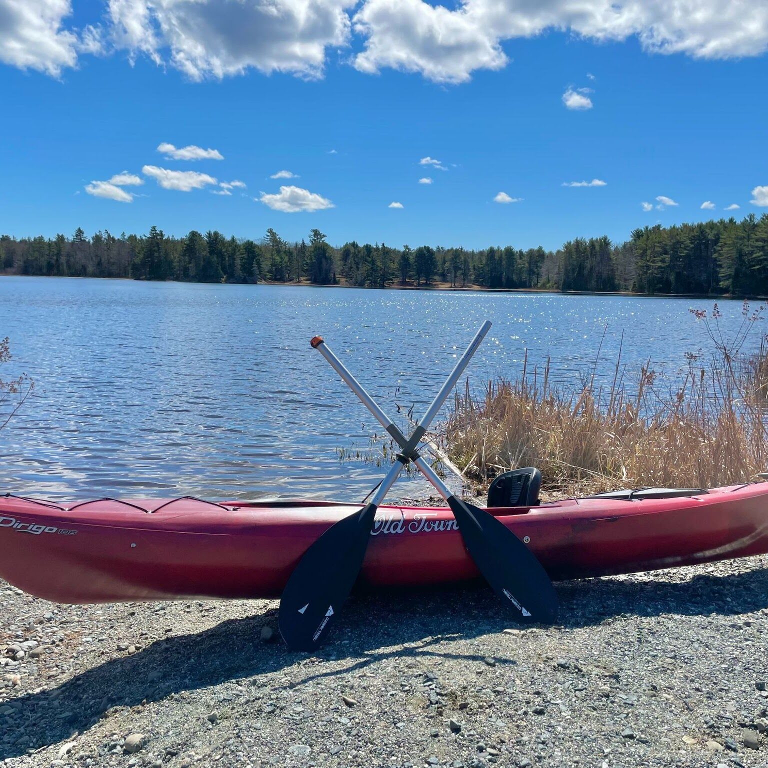 Single Kayak